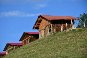 TatacoaHills